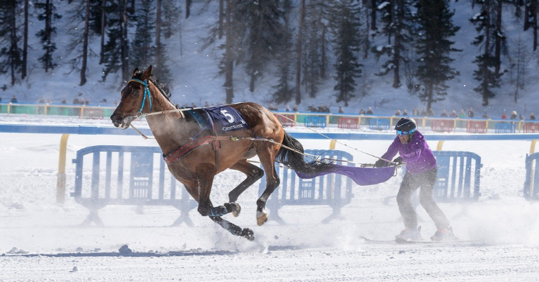 Colorado skijoring
