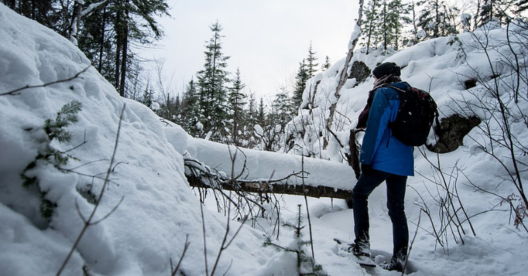 Colorado snowshoeing