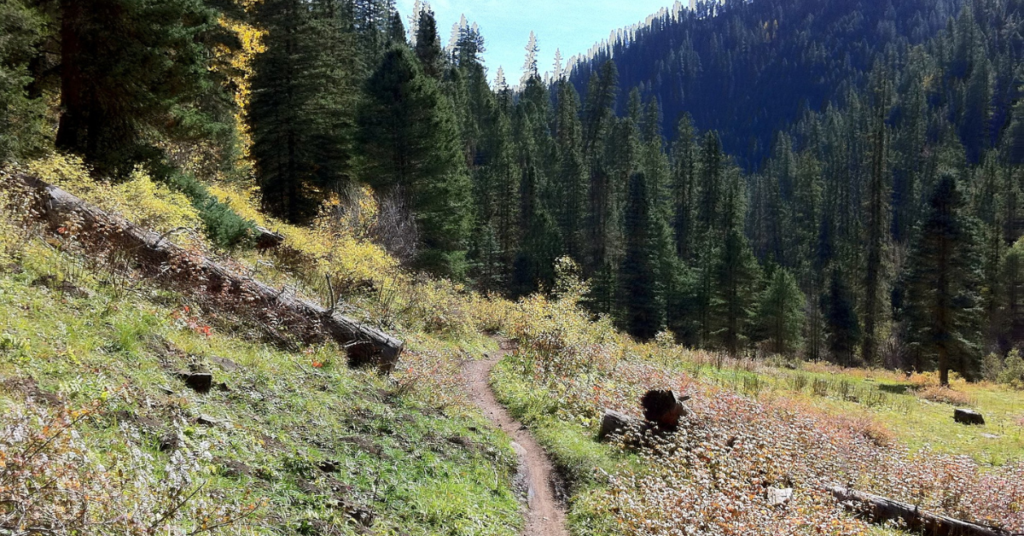 Hermosa Creek Trail Durango