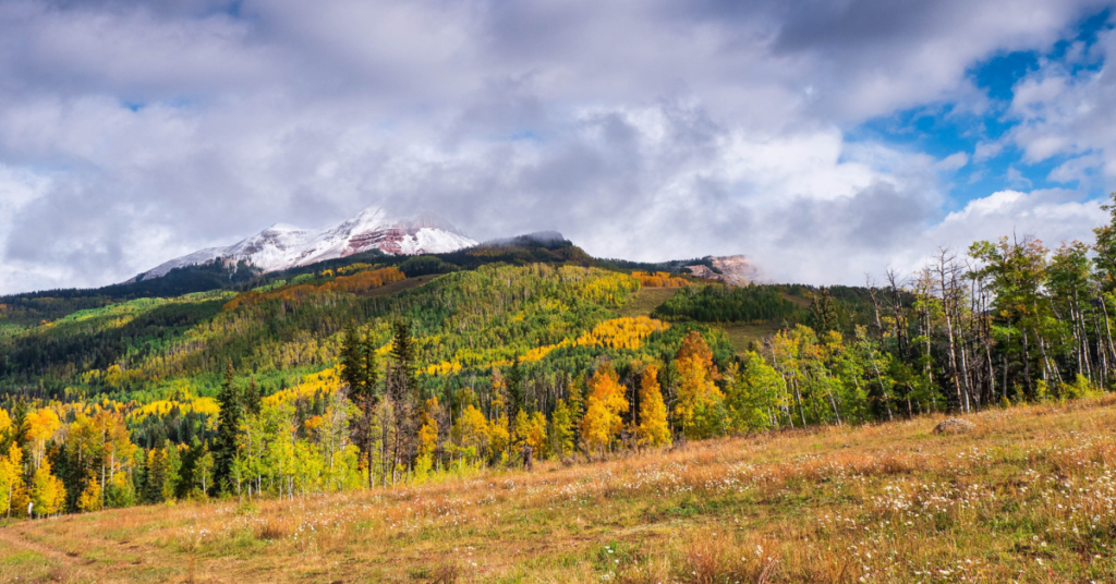 Jaw-Dropping Hikes in Durango Durango